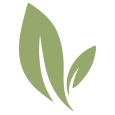 Cinong Pte Ltd.